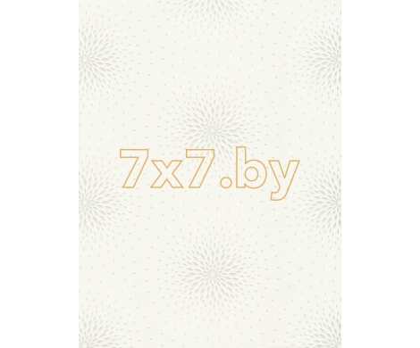 Spectrum Max 54358-1