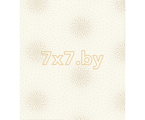 Spectrum Max 54358-2