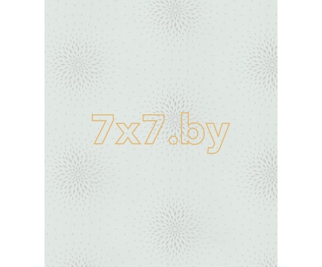 Spectrum Max 54358-4