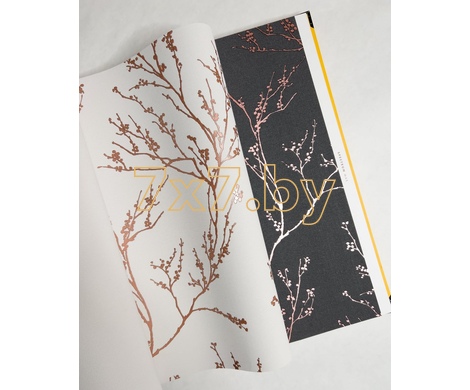 Spectrum Max 54360-4