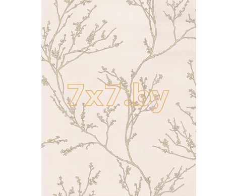 Spectrum Max 54360-5