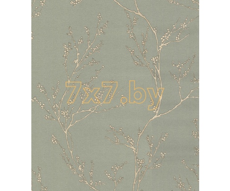 Spectrum Max 54360-6