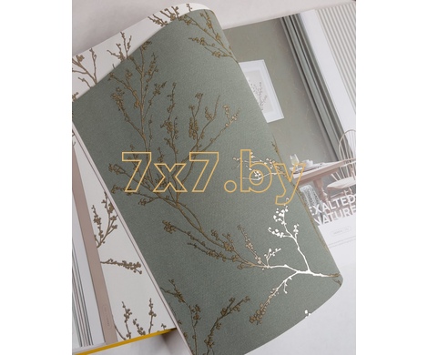 Spectrum Max 54360-6