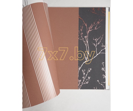 Spectrum Max 54360-7