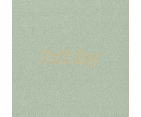 Spectrum Max 54361-13