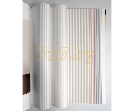 Spectrum Max 54365-1