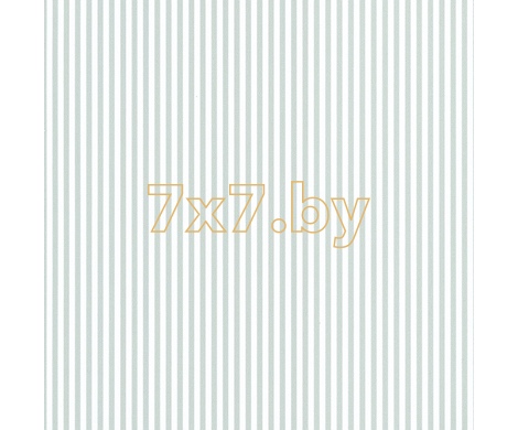 Spectrum Max 54365-12