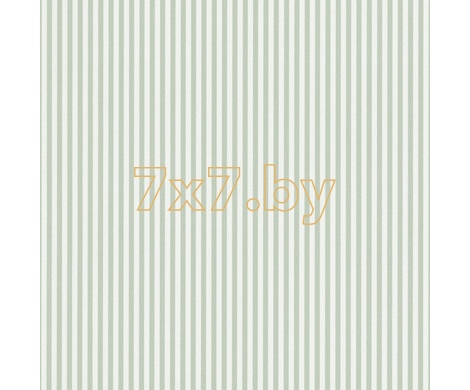 Spectrum Max 54365-13