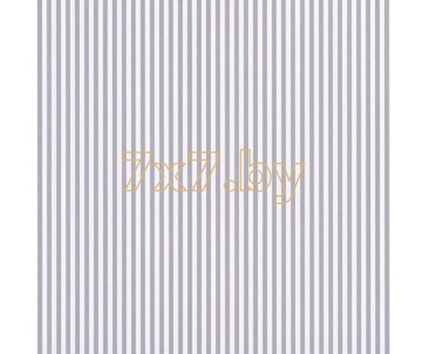 Spectrum Max 54365-15