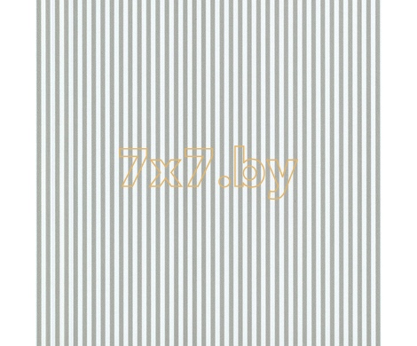 Spectrum Max 54365-17