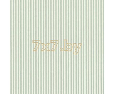 Spectrum Max 54365-6