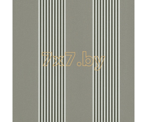 Spectrum Max 54366-4