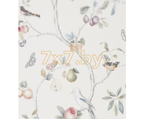 Country Woodland  DART216314