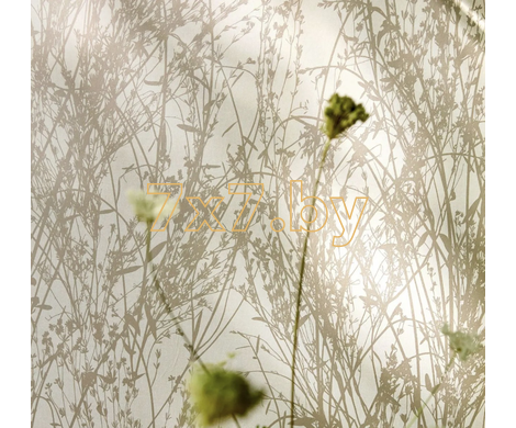 Country Woodland DWOW215693