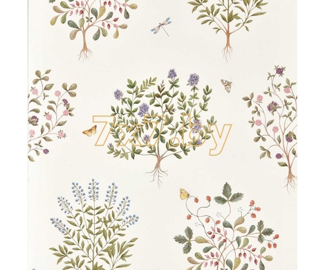 HIGHGROVE 217509 Silver Thyme Walk Damson/Quince