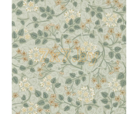 HIGHGROVE 217516 Silver Lime Nymph