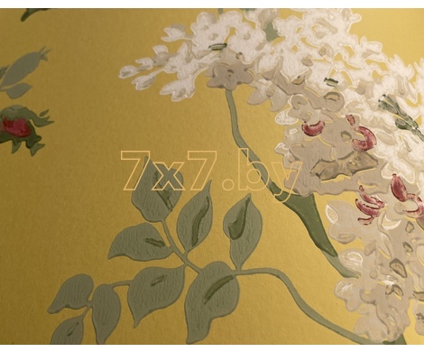 One Sixty 217051