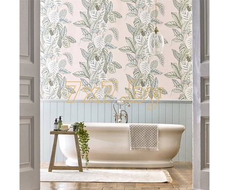 The Glasshouse Calathea  216631