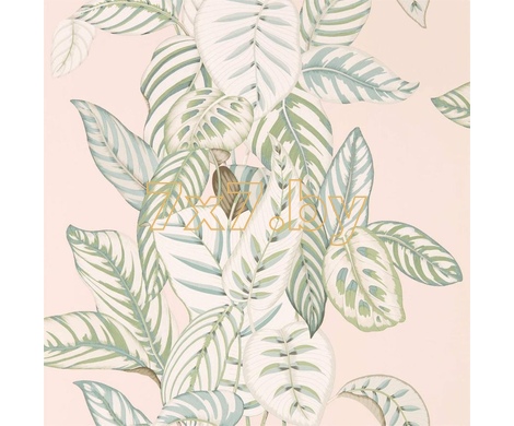 The Glasshouse Calathea 216632