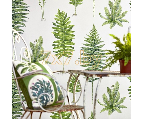 The Glasshouse Fernery 216633