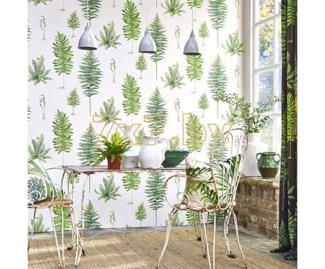 The Glasshouse Fernery 216633