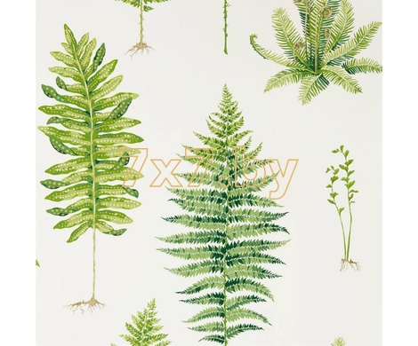 The Glasshouse Fernery 216633