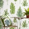 Fernery 216633