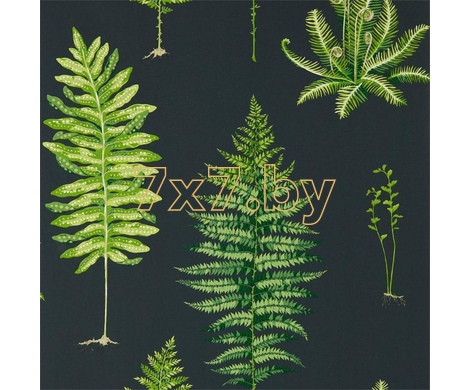 The Glasshouse Fernery 216634