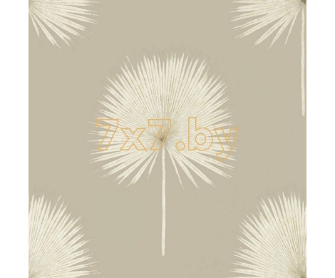 The Glasshouse Fan Palm 216637