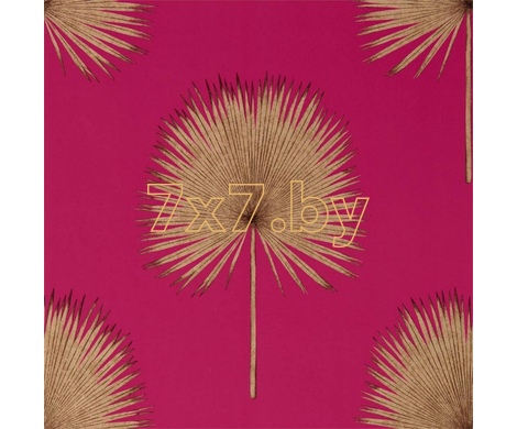 The Glasshouse Fan Palm 216638