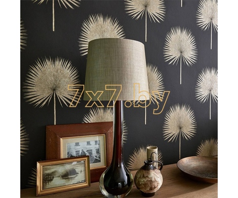 The Glasshouse Fan Palm  216636