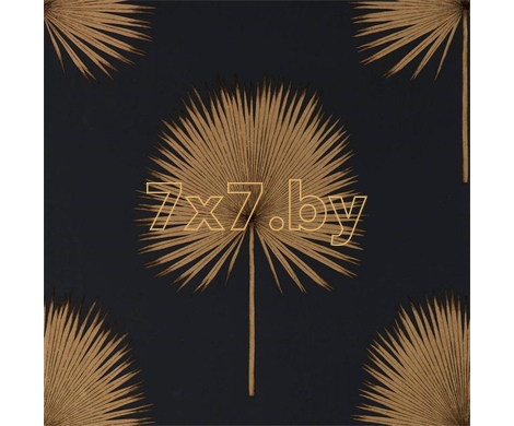 The Glasshouse Fan Palm 216639