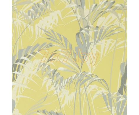 The Glasshouse Palm House арт.  216642