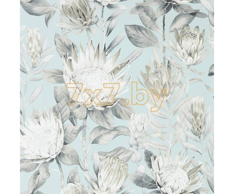 The Glasshouse King Protea 216645