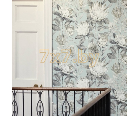 The Glasshouse King Protea 216645