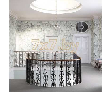 The Glasshouse King Protea 216645