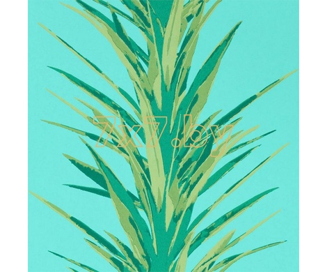 The Glasshouse Yucca арт. 216648