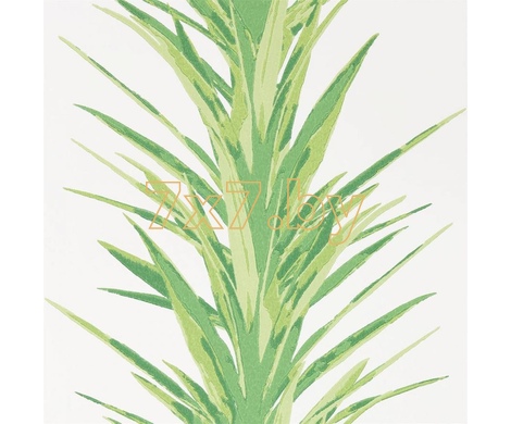 The Glasshouse Yucca арт. 216649