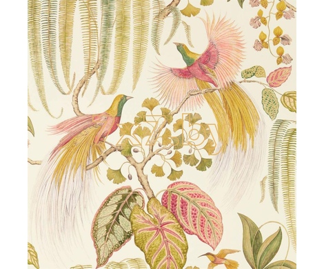 The Glasshouse Bird of Paradise 216653