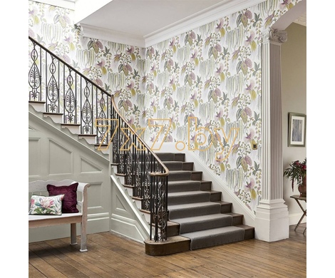 The Glasshouse Bird of Paradise  216652