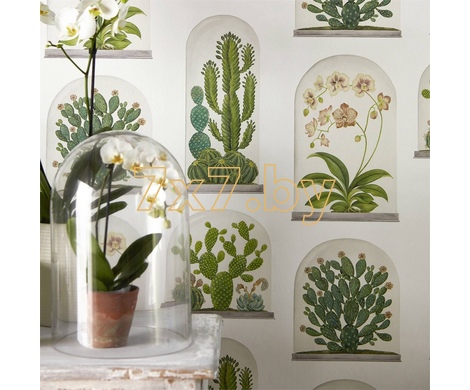 The Glasshouse Terrariums 216655