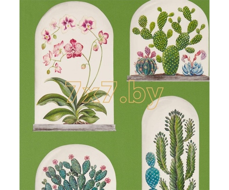 The Glasshouse Terrariums 216656