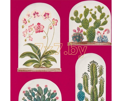 The Glasshouse Terrariums 216657