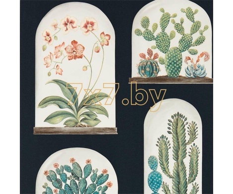 The Glasshouse Terrariums 216658