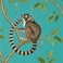 The Glasshouse Ringtailed Lemur 216663
