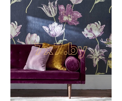 The Glasshouse Tulipomania 216666