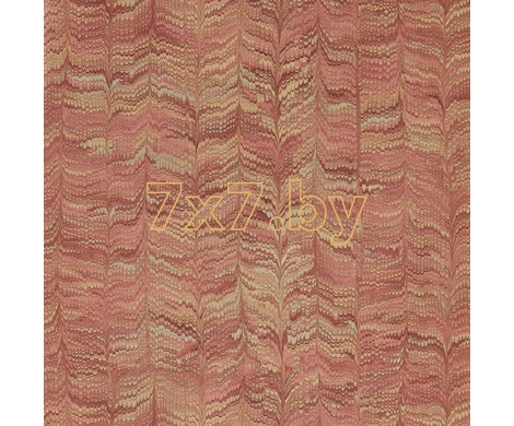 Endpapers 313083
