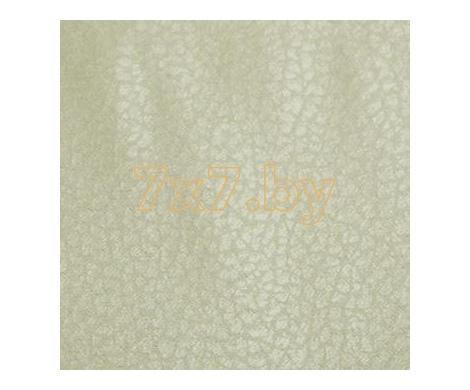 Baghera Oniro Baghera Oniro col.02