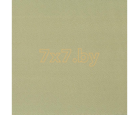 Baghera Oniro Baghera Oniro col.06