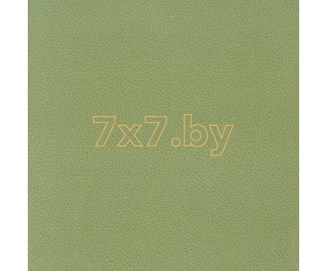 Baghera Oniro Baghera Oniro col.09